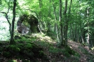 Felsen über Ahrbrück