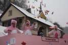 Karnevalsumzug 2010_12