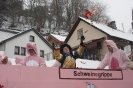 Karnevalsumzug 2010_13