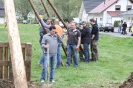 Maibaum 2010_10