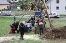 Maibaum 2010_12