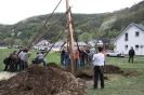 Maibaum 2010_13