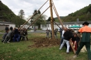 Maibaum 2010_15