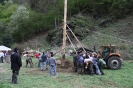 Maibaum 2010_17