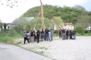 Maibaum 2010_20