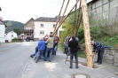 Maibaum 2010_41