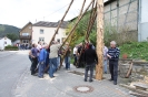 Maibaum 2010_42