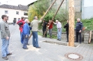 Maibaum 2010_43