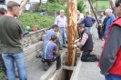 Maibaum 2010_47