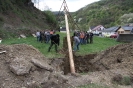 Maibaum 2010_4