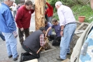 Maibaum 2010_50