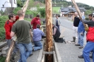 Maibaum 2010_51