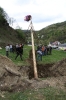 Maibaum 2010_5