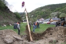 Maibaum 2010_7