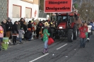 2013 Karnevalszumzug Ahrbrück_37