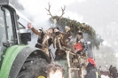Karnevalsumzug 2010_11