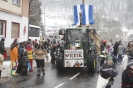 Karnevalsumzug 2010_2