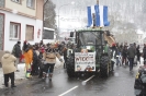 Karnevalsumzug 2010_3