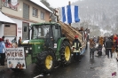 Karnevalsumzug 2010_7
