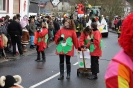 Karnevalszumzug Ahrbrück_12