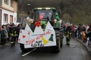 Karnevalszumzug Ahrbrück_16