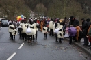 Karnevalszumzug Ahrbrück_18