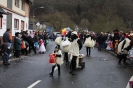 Karnevalszumzug Ahrbrück_19