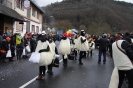 Karnevalszumzug Ahrbrück_20