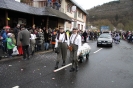 Karnevalszumzug Ahrbrück_24