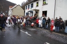 Karnevalszumzug Ahrbrück_28