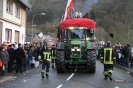 Karnevalszumzug Ahrbrück_73