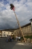 2012 Maibaum