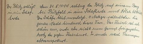 Am 31.05.1944 schlug der Blitz in eine Schafherde und tötete 68 Tiere. Der Schäfer blieb unverletzt.