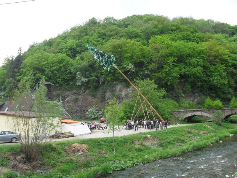 20110430_maibaum