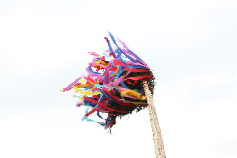 20100430_maibaum