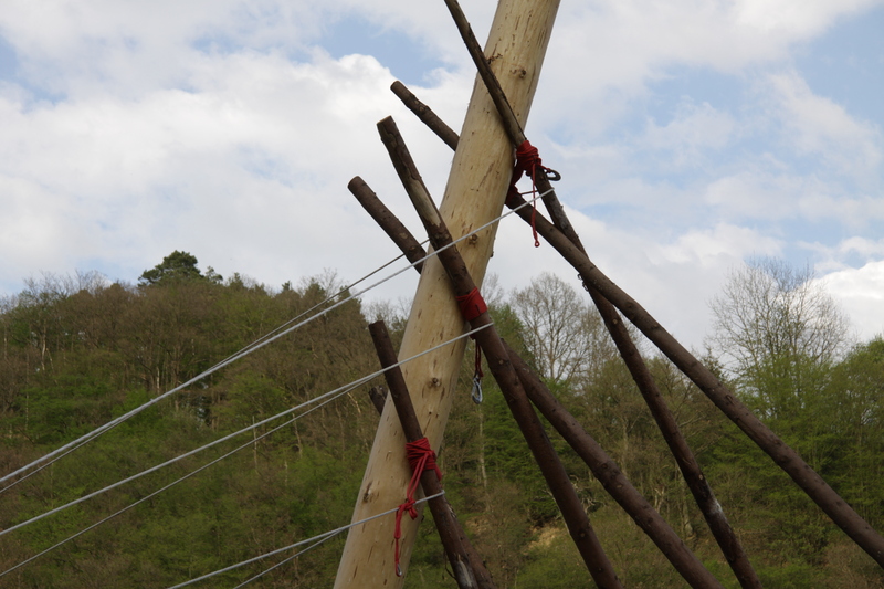 20120430_Maibaum